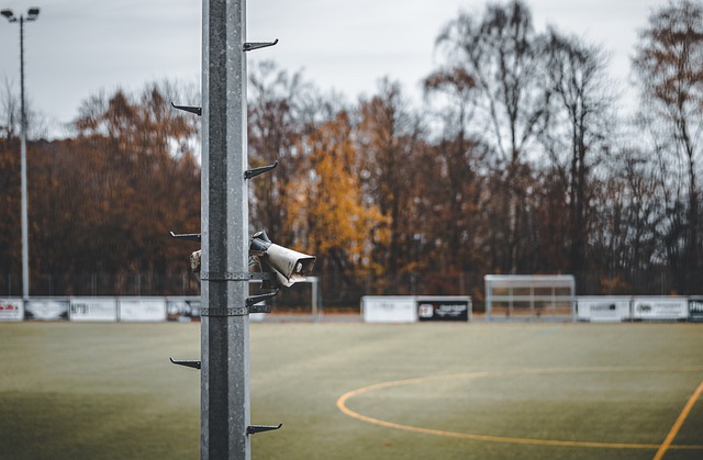 在本场比赛 在本场比赛