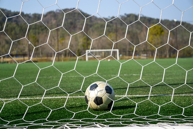 展示了自己 展示了自己